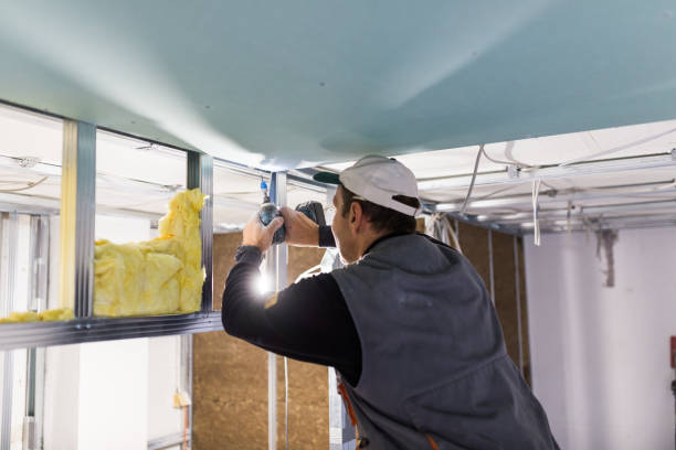Best Insulation Maintenance and Repair in Millbrae, CA