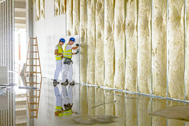 Best Insulation Installation Services in Millbrae, CA